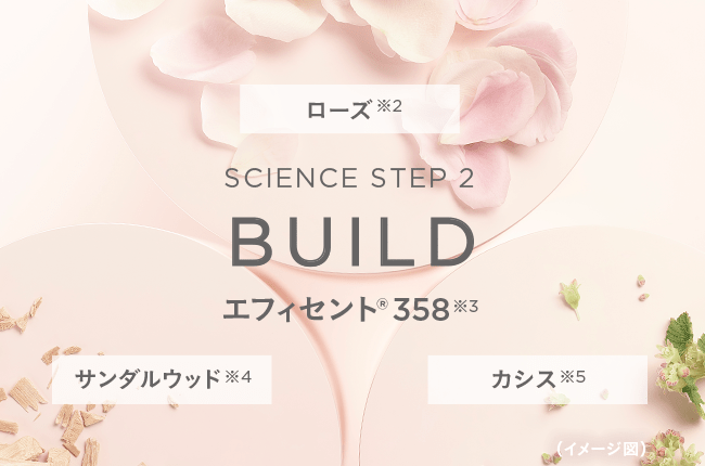 SCIENCE STEP 2 BUILD エフィセント®358※3 ローズ※2 サンダルウッド※4 カシス※5 (イメージ図)