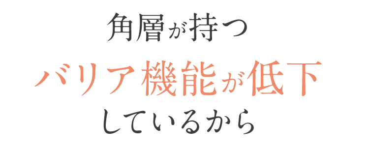 角層が持つ バリア機能が低下 しているから