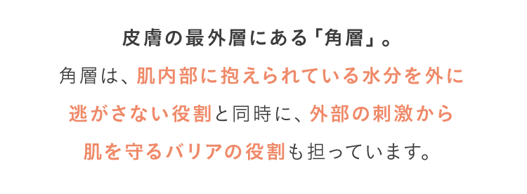 皮膚の最外層にある「角層」。 角層は、肌内部に抱えられている水分を外に逃がさない役割と同時に、外部の刺激から 肌を守るバリアの役割も担っています。