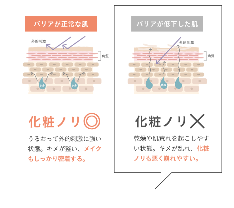 バリアが正常な肌 化粧ノリまる うるおって外的刺激に強い状態。キメが整い、メイクもしっかり密着する。 バリアが低下した肌 化粧ノリバツ 乾燥や肌荒れを起こしやすい状態。キメが乱れ、化粧ノリも悪く崩れやすい。