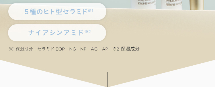 5種のヒト型セラミド※1 ナイアシンアミド※2 ※1保湿成分:セラミドEOP、NG、NP、AG、AP  ※2 保湿成分