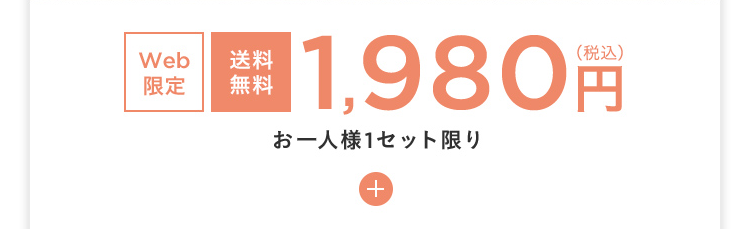 Web限定 送料無料 税込1,980円 お一人様1セット限り +