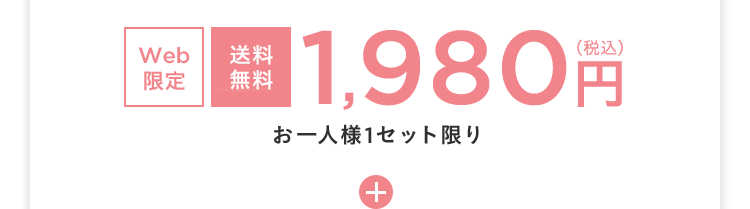 Web限定 送料無料 税込1,980円 お一人様1セット限り +