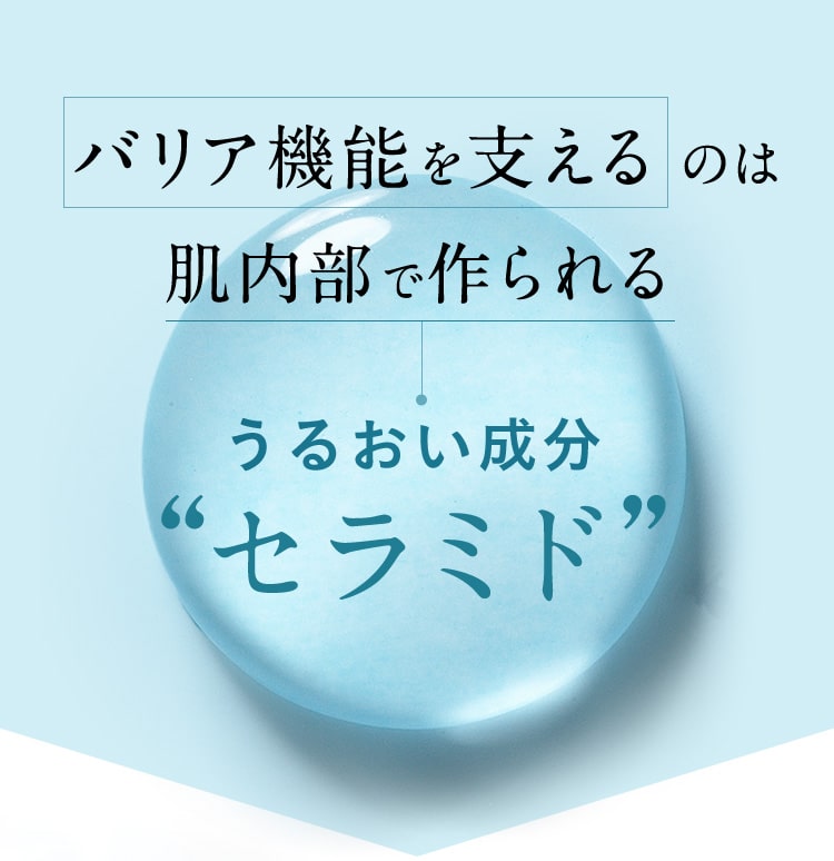 バリア機能を支えるのは肌内部で作られるうるおい成分“セラミド”