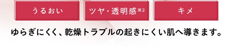 【うるおい】【ツヤ・透明感※2】【キメ】ゆらぎにくく、乾燥トラブルの起きにくい肌へ導きます。