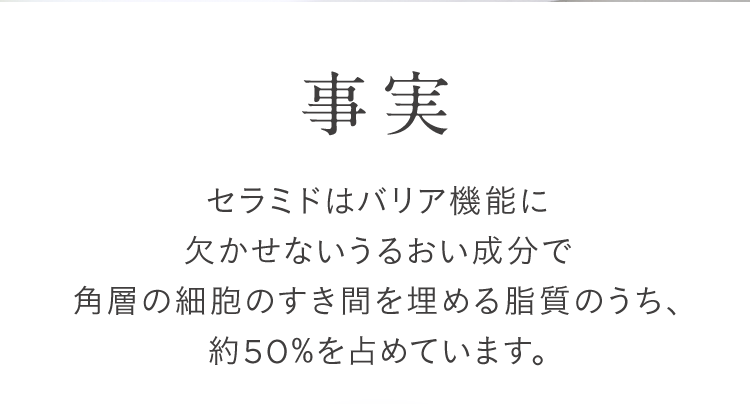 事実 セラミドはバリア機能に欠かせないうるおい成分で角層の細胞のすき間を埋める脂質のうち、約50%を占めています。
