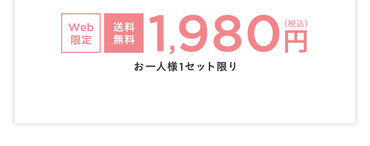 Web限定 送料無料 税込1,980円 お一人様1セット限り