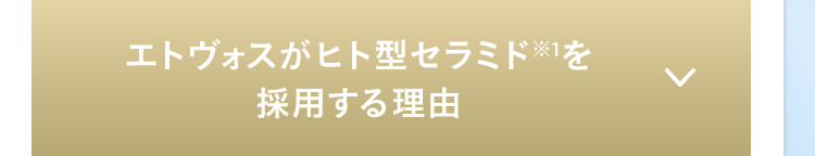 エトヴォスがヒト型セラミド※1を採用する理由 >