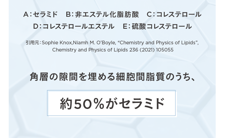 A:セラミド B:非エステル化脂肪酸 C:コレステロール D:コレステロールエステル E:硫酸コレステロール 引用元:Sophie Knox,Niamh M.O'Boyle,Chemistry and Physics of Lipids,Chemistry and Physics of Lipids 236(2021)105055 角層の隙間を埋める細胞間脂質のうち、約50%がセラミド