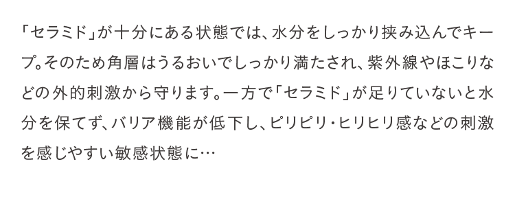 「セラミド」が十分にある状態では、水分をしっかり挟み込んでキープ。そのため角層はうるおいでしっかり満たされ、紫外線やほこりなどの外的刺激から守ります。一方で「セラミド」が足りていないと水分を保てず、バリア機能が低下し、ピリピリ ヒリヒリ感などの刺激を感じやすい敏感状態に