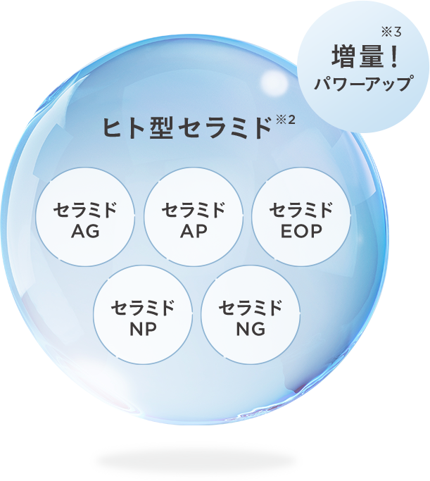 ヒト型セラミド※2 増量!※3 パワーアップ セラミドAG セラミドAP セラミドEOP セラミドNP セラミドNG