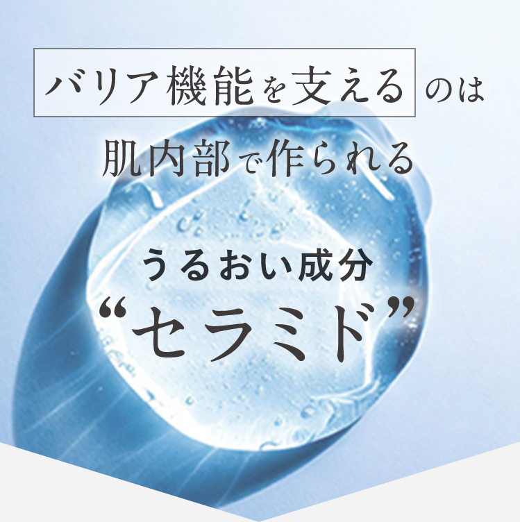 バリア機能を支えるのは肌内部で作られるうるおい成分セラミド
