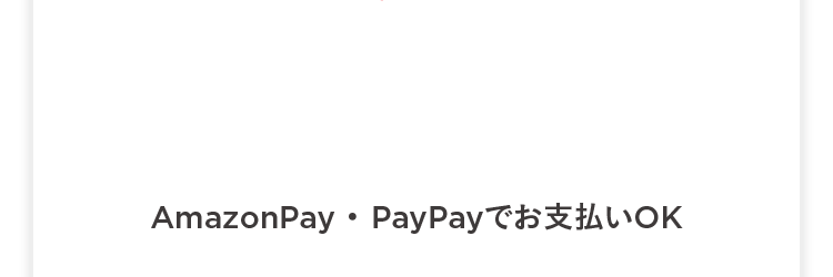 AmazonPay PayPayでお支払いOK