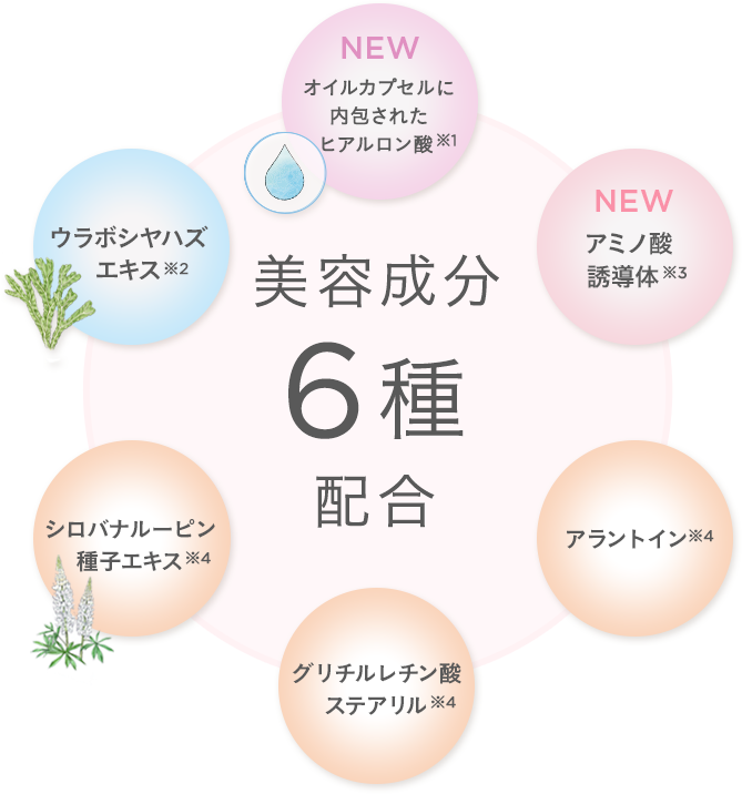 美容成分6種配合