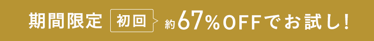 期間限定今だけ67%OFFでお試し