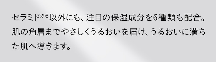 セラミド以外にも、注目の保湿成分を6種類も配合。