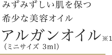 sec01Area-block01-ttl